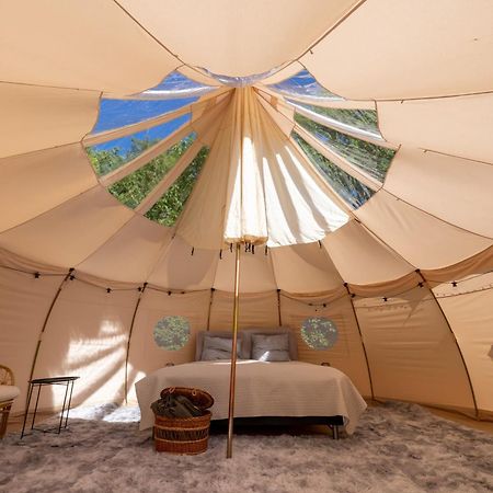 Holmegaard Vin Og Glamping Hotel Dannemare Luaran gambar