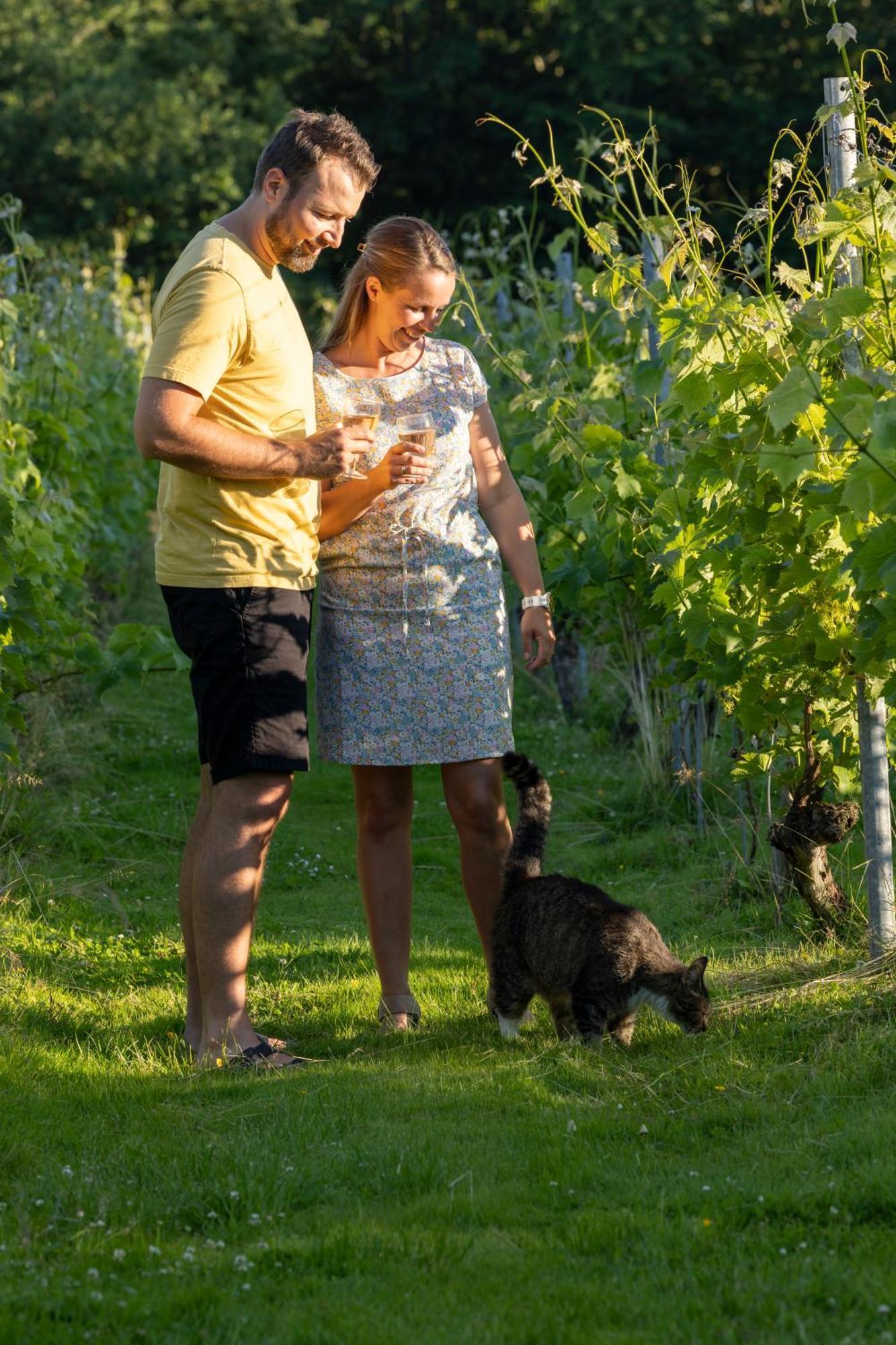 Holmegaard Vin Og Glamping Hotel Dannemare Luaran gambar