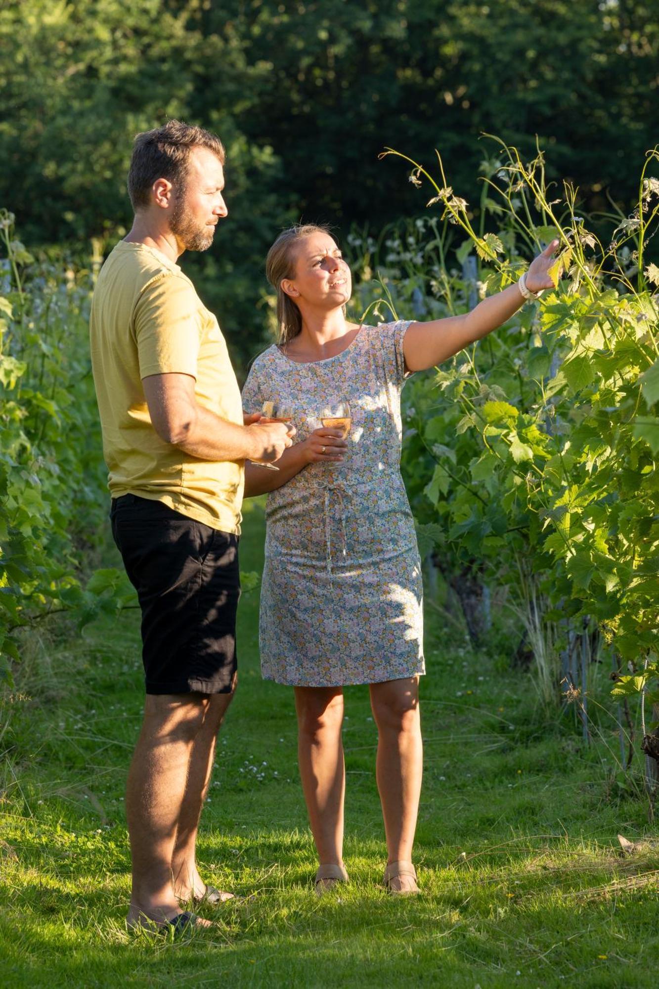 Holmegaard Vin Og Glamping Hotel Dannemare Luaran gambar