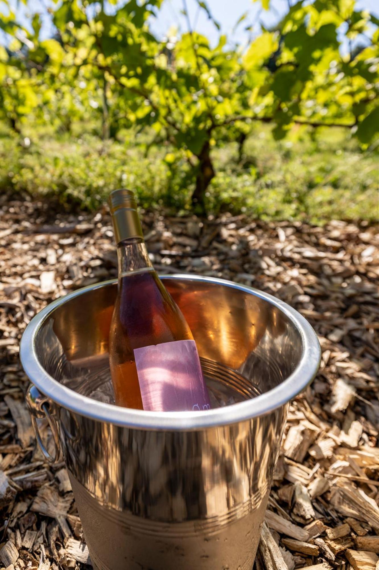 Holmegaard Vin Og Glamping Hotel Dannemare Luaran gambar